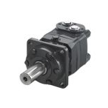 Hydraulic motor OMS type (TF EPMS)