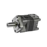 Hydraulic motor OMT type (TF EPMT)