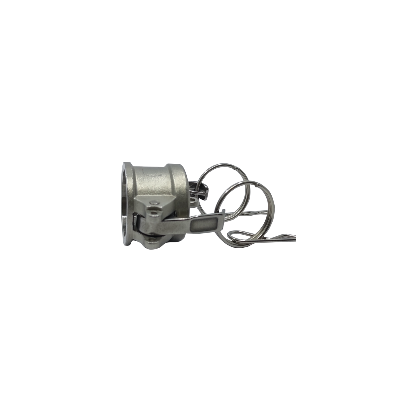 CAMLOCK AISI316 Пылезащитные колпачки DN50 2" тип DC