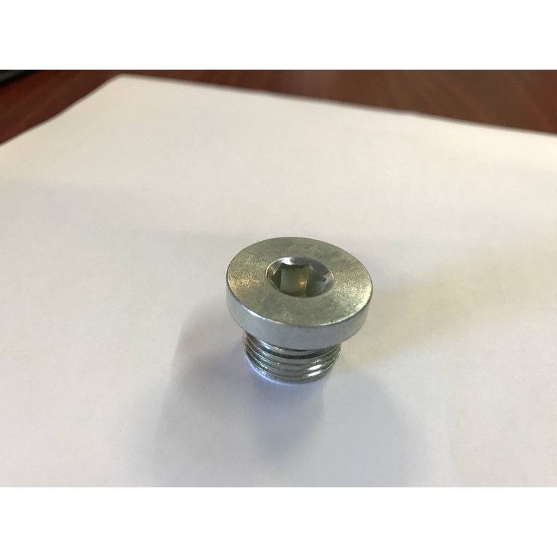 Plug M18x1,5 outer thread, inner HEX (with seal)