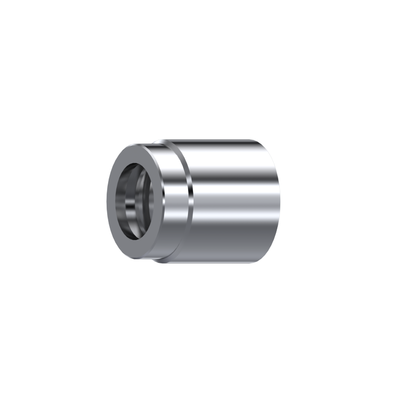 Прессованная втулка для шланга 2"1/2 2SN AISI316L