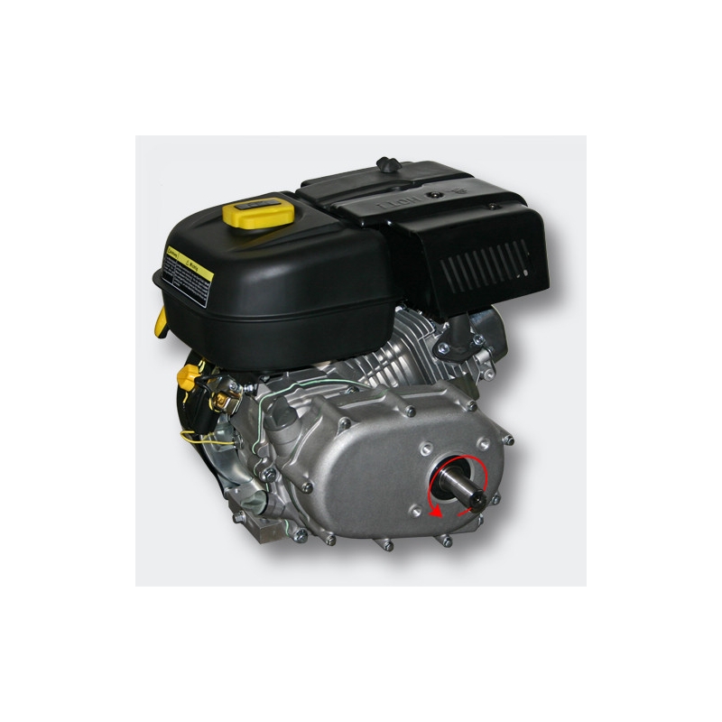 Petrol engine 4.8 kW (6.5Hp) with gearbox 2:1