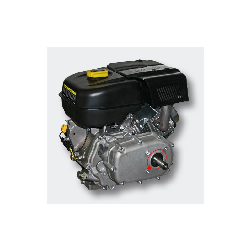 Petrol engine 6.6 kW (9Hp)with gearbox 2:1