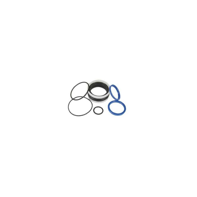 M250 Series Hydraulic Cylinder Repair Kit (Double acting) 25/40