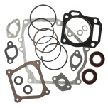 Spare parts kit for petrol engine 6.5 hp