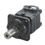 Hydraulic motor TF EPMS 100CC