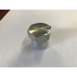 Plug 1/2"  outer thread, outer HEX